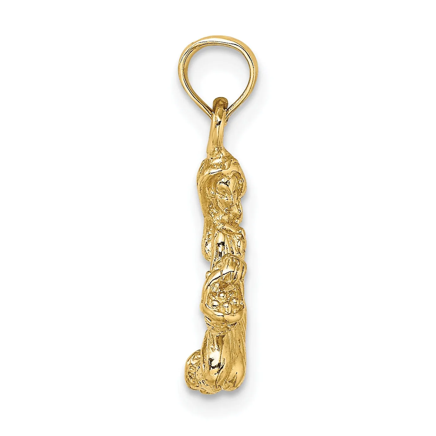 14k Yellow Gold Polished Texture Finish3-D Virgo Zodiac Charm Pendant