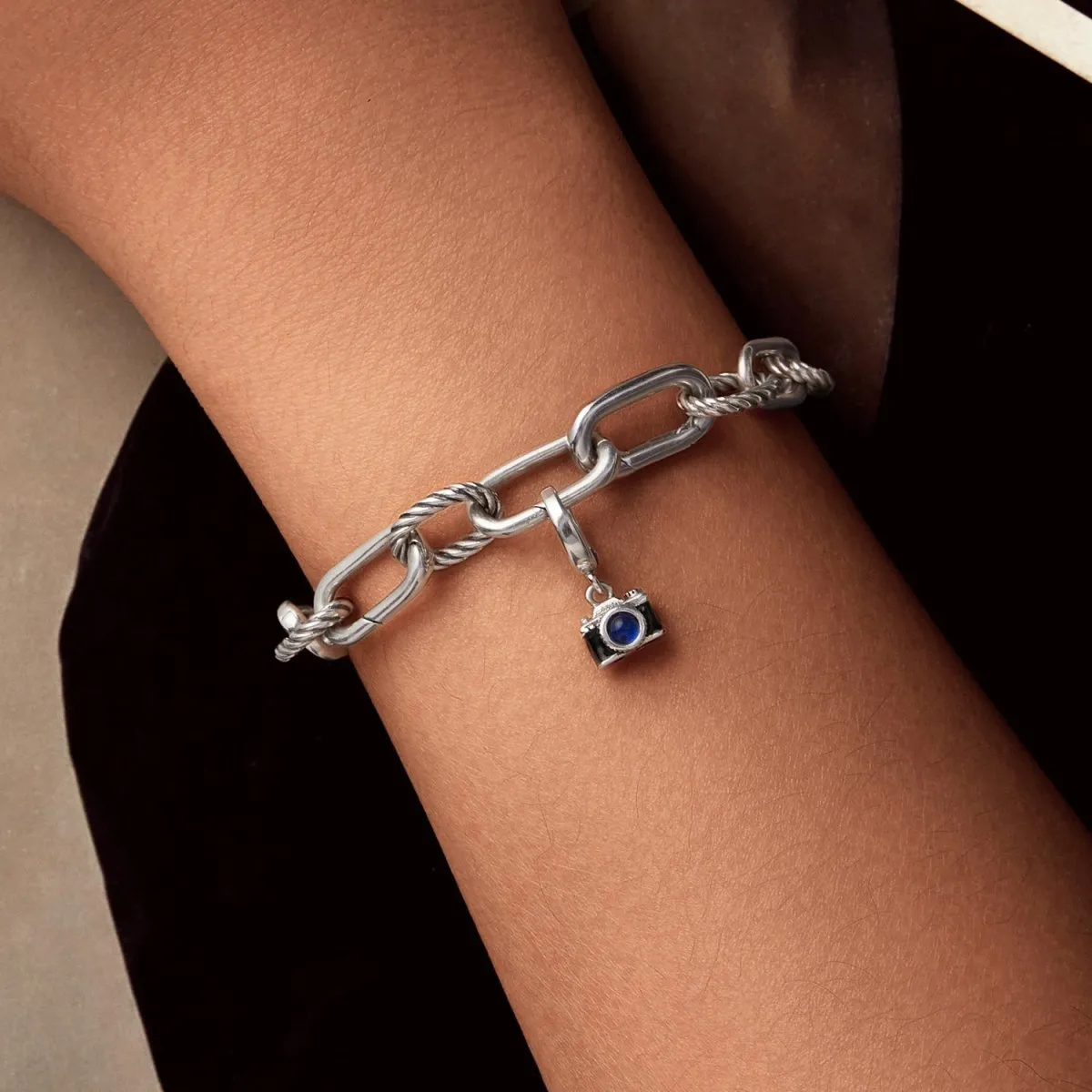 Camera Dangle Charm