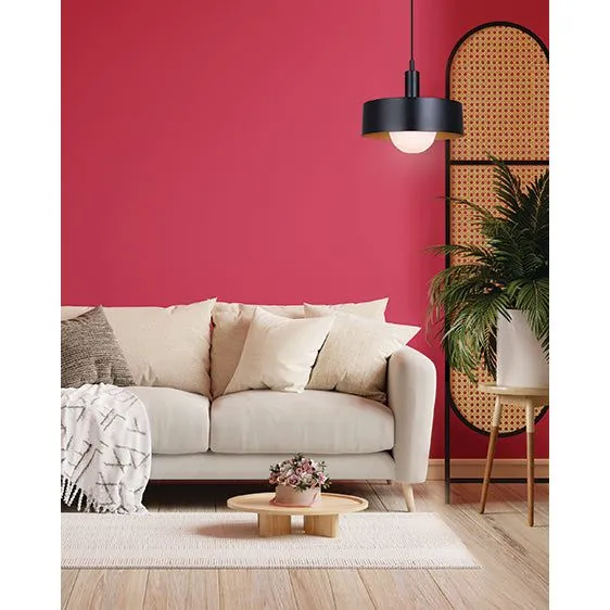 Daylon 1-Light Pendant