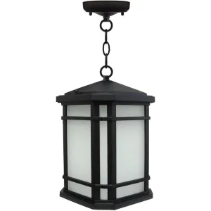 Elm Outdoor Pendant