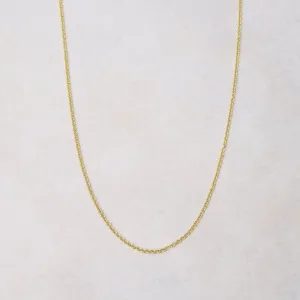 Gold Plated Rolo Chain - 16"