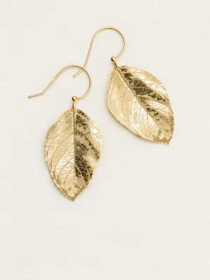 Holly Yashi Elm Earrings - Gold