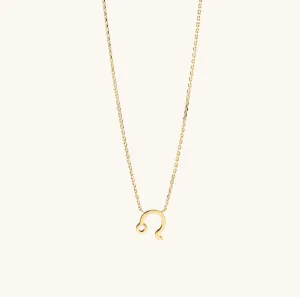 Leo Zodiac Sign Pendant