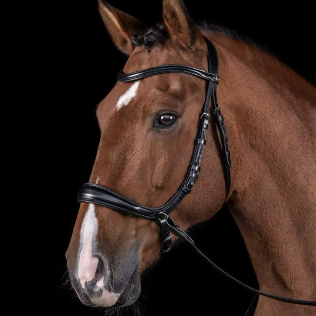 Schockemöhle Equitus Theta Bridle