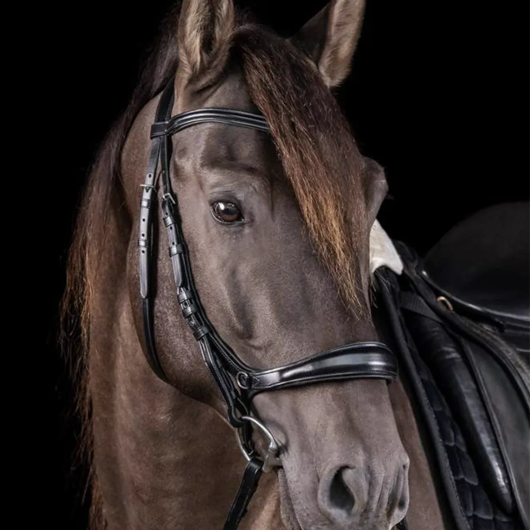 Schockemöhle Equitus Theta Bridle