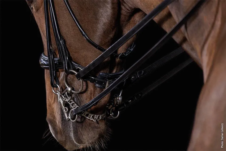 Schockemöhle Sport - Kensington Bridle