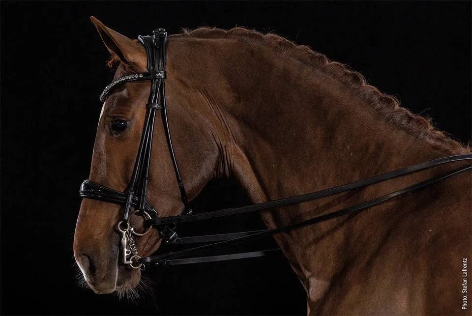 Schockemöhle Sport - Kensington Bridle