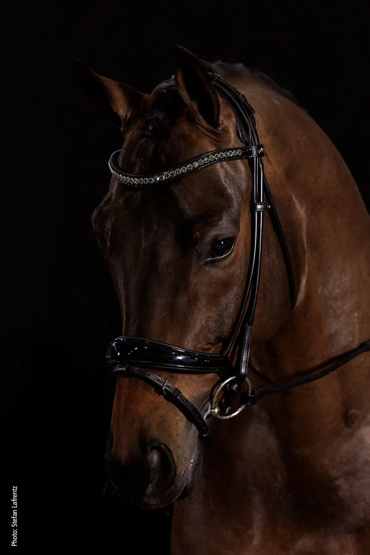 Schockemohle Westminster Round Stitched Anatomic Bridle, Black Patent/Silver