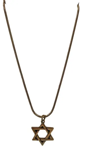 Sterling Silver Star of David Necklace (16in)