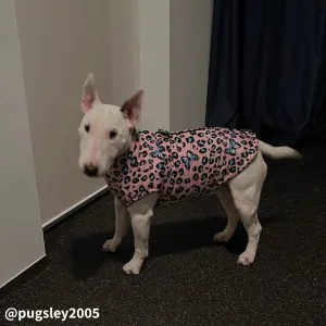Waterproof Butterfly Vest